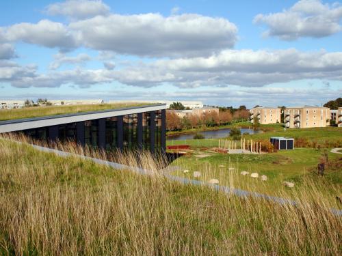 Building with a gras roof